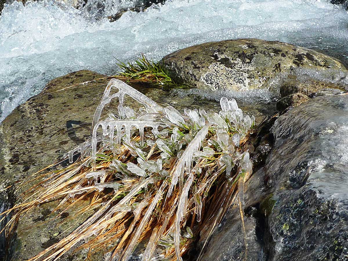 Natur & Wandel- Naturbegleitung